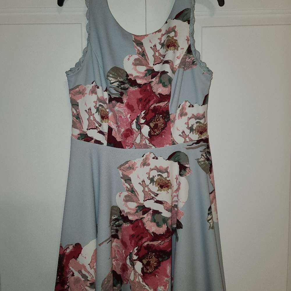 Sleeveless Light Blue with Pink and White Flowers Skater Floral Dress